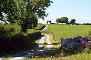 The Red Gates, Accommodation & Workshops, Corofin, Co Clare