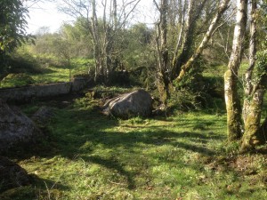 Scenery at The Red Gates, Corofin, Co Clare